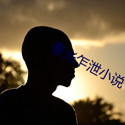 春光乍泄(xiè)小说