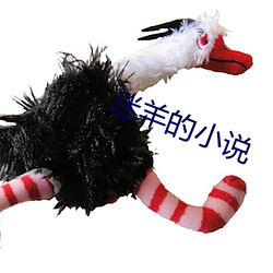 迷羊的小說
