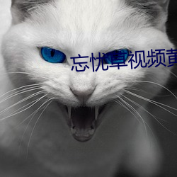 忘憂草視頻黃ios