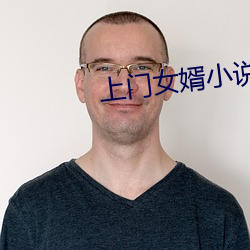 上门女婿小说