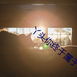 丫头你终于属于我