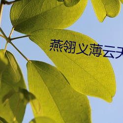 燕翎义(yì)薄云(yún)天