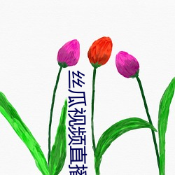 絲瓜視頻直播