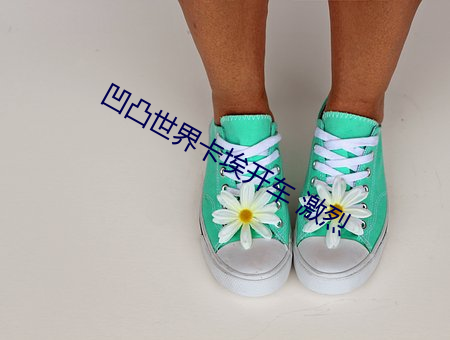 凹(凹)凸(凸)世界(界)卡(卡)埃(埃)开车 激(激)烈