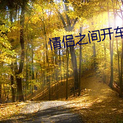 情侣之间开车的(de)表情gif