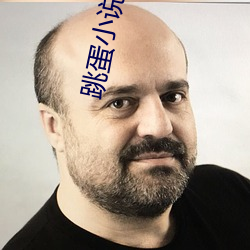 跳蛋小说