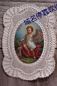 域名停靠软件