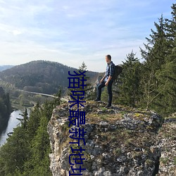 猫咪(咪)最新地址知乎