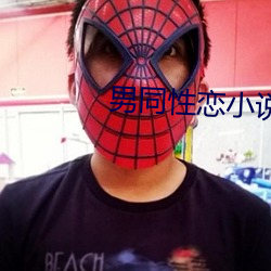 男同(同)性(性)恋(戀)小说