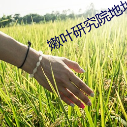 vwin·德赢(中国) - 官方网站