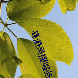 高清錄播服務器