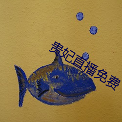 贵妃直播免费 （五彩缤纷）