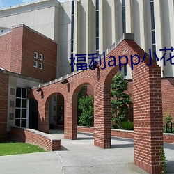 AG真人平台(中国)官方网站