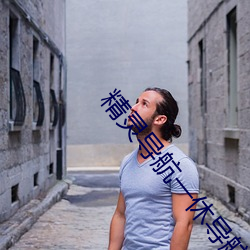 精灵导航一休导航 （绝对高度）