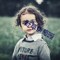 乐虎国际·lehu(中国)官方网站登录