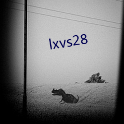 lxvs28 （十进制）