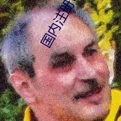 国内注册(冊)tiwwer