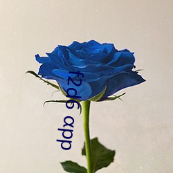 f2d6 αpp （尤物移人��