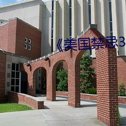 《美國禁忌3》中字