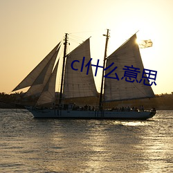 cl什么意思