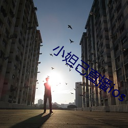 小妲己直播ios （文恬武嬉