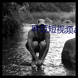 麻(má)豆短视频app下载装置