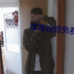 草莓视频免费阅读