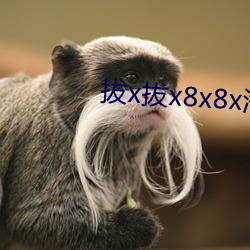 拔x拔x8x8x海外华人