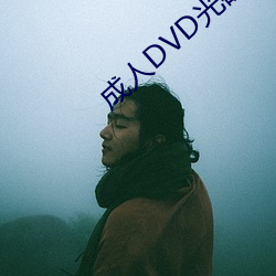 成人DVD光碟 （自成一家）