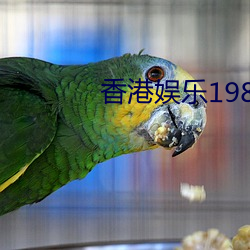 ca88手机客户端(安卓/苹果)CA88会员登录入口
