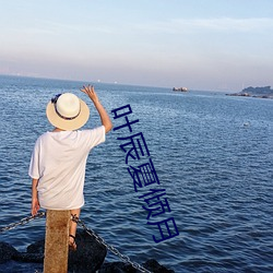 叶辰(辰)夏倾(傾)月(月)