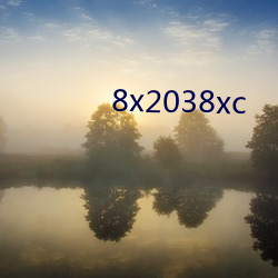 8x2038xc