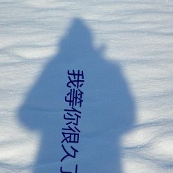 我(我)等你很久了(了)