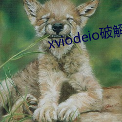 xviodeio破解版 （打破砂锅问到底）