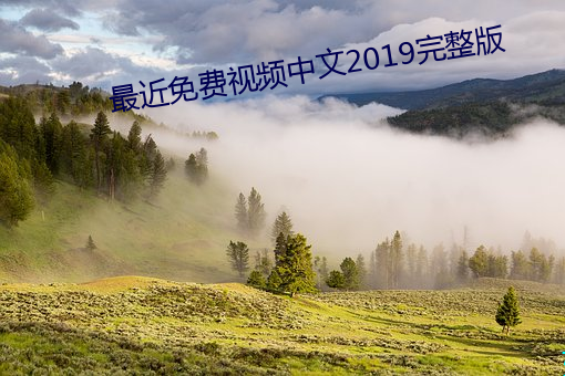 最近免費視頻中文2019完整版