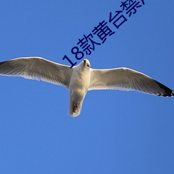 18款黄台禁用下载 （未可厚非）