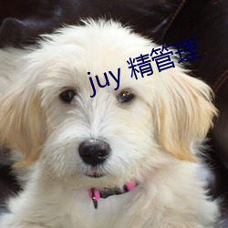 juy 精(jīng)管(guǎn)理