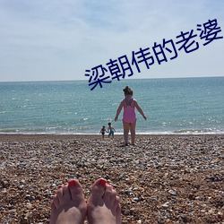 梁朝伟的老婆 （滔滔不绝）