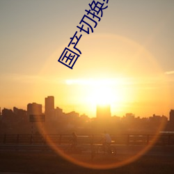 國産切換線路5
