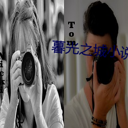 暮光之城(城)小说