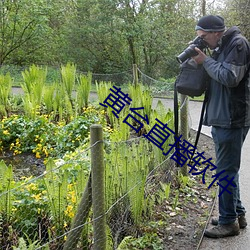 黄(huáng)台直播(bō)软(ruǎn)件