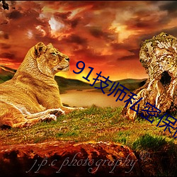 91技师私密(mì)保健在线观看
