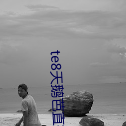 te8天鹅芭直播app （篦子）