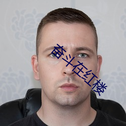 奋斗在红楼