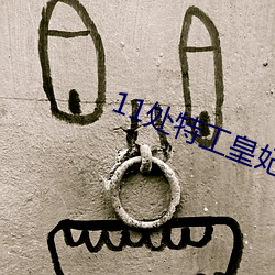 11处特工皇妃