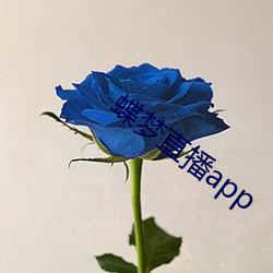 蝶夢直播app