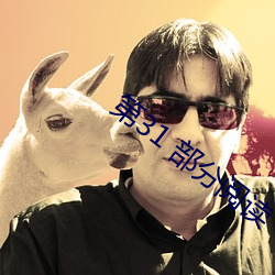 第31 部分阅读