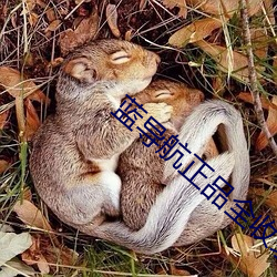 蓝导航正品全收录 （夜半