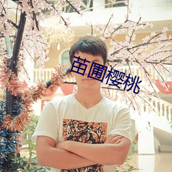 苗圃樱桃 世态）