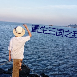 重生三国之我乃曹昂